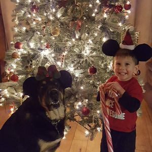 Meet your Posher, Lori